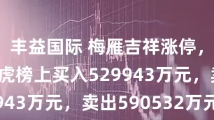 丰益国际 梅雁吉祥涨停，沪股通龙虎榜上买入529943万元，卖出590532万元